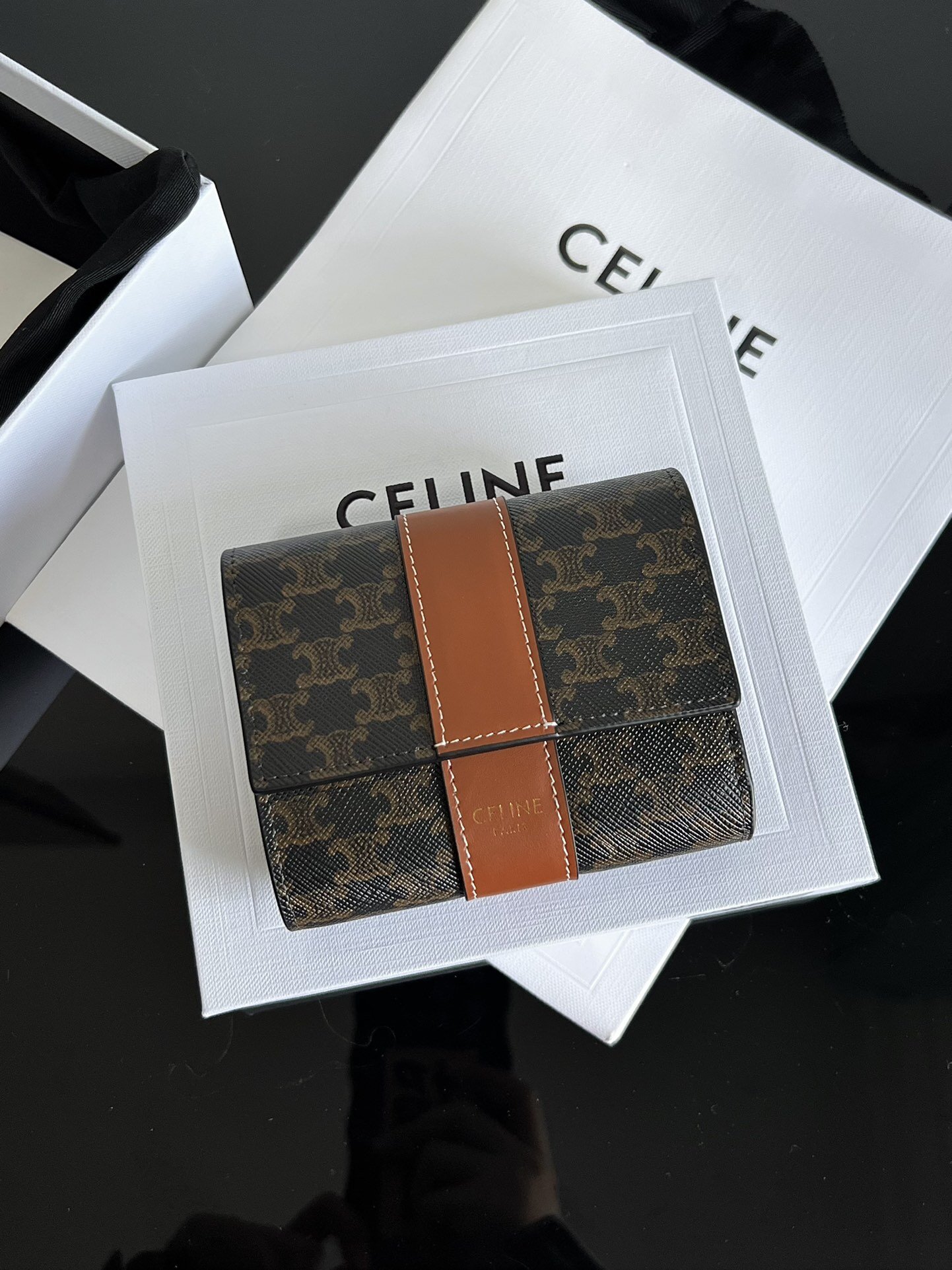 celine TRIOMPHE CANVAS 10.5 X 8.5 X 4cm